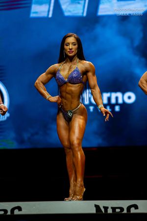 WELLNESS 163